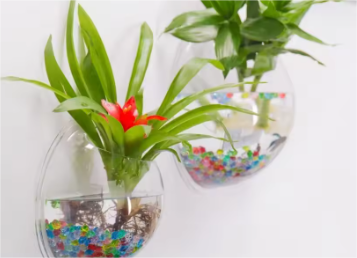 Enhance Your Aquatic Experience with Acrylic Hanging Fish Tanks