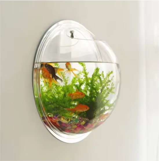 Acrylic-Hanging-Fish-Tanks