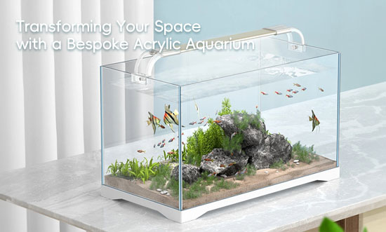 Acrylic Aquarium